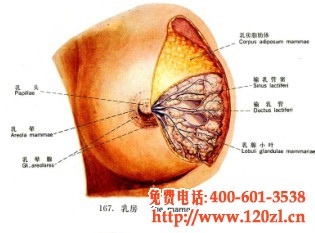 西安治疗肺癌哪家医院最好?