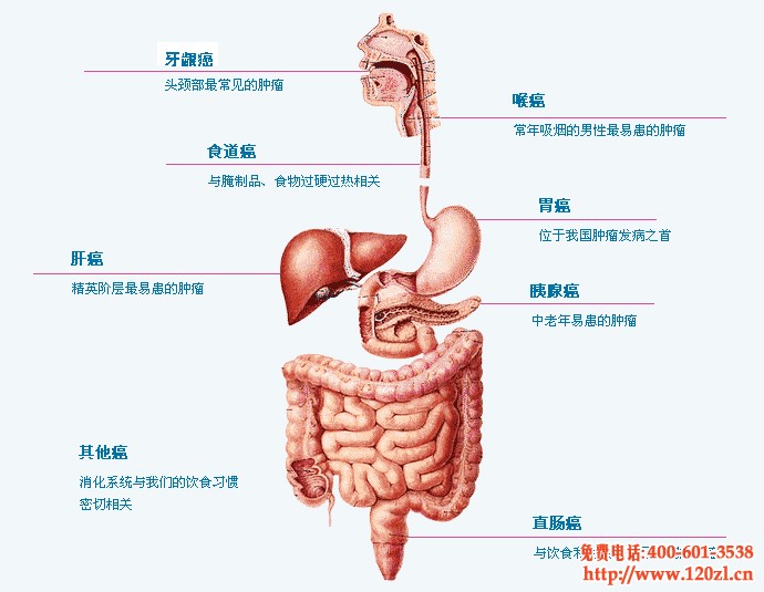 经常使用的治疗肺癌的方法有哪些?
